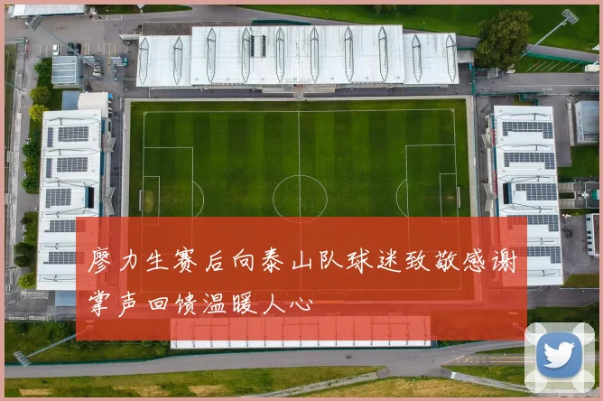 廖力生赛后向泰山队球迷致敬感谢掌声回馈温暖人心