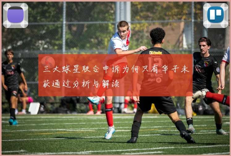 三大球星联合申诉为何只有华子未获通过分析与解读