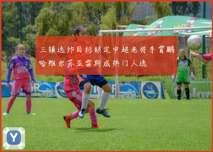 三镇选帅目标锁定中超老将李霄鹏哈维尔苏亚雷斯成热门人选